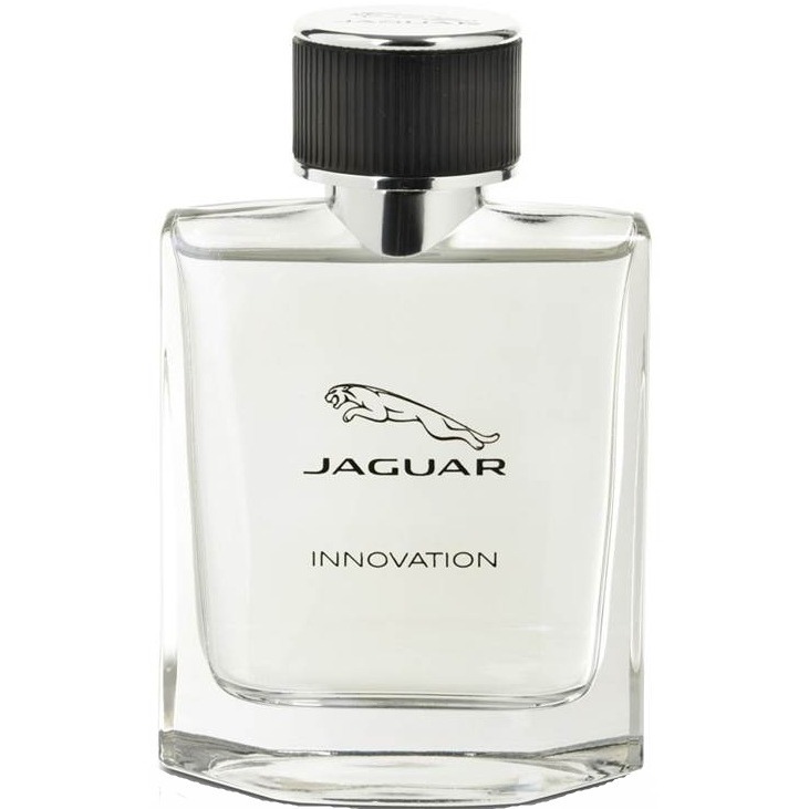 Jaguar Innovation, миниатюра 2