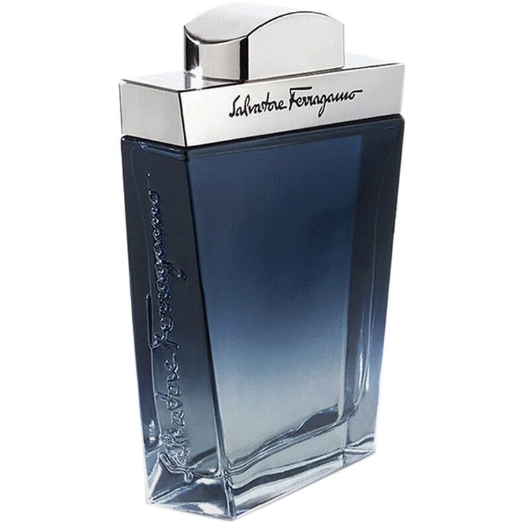 Salvatore Ferragamo Subtil Pour Homme, миниатюра 2