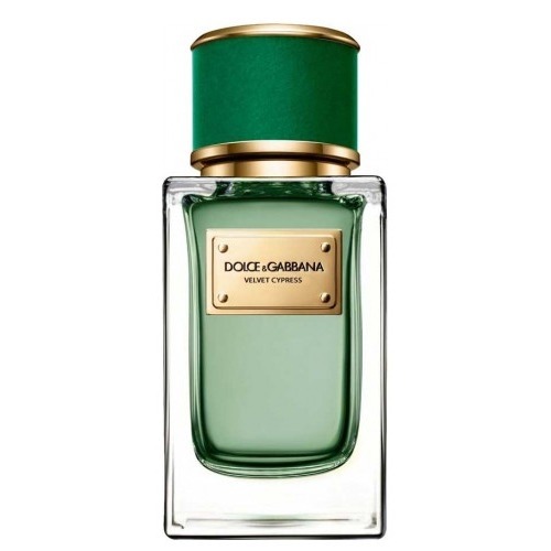 DOLCE & GABBANA Velvet Cypress, миниатюра 2