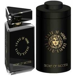 State of Mind Secret of Success, миниатюра 2