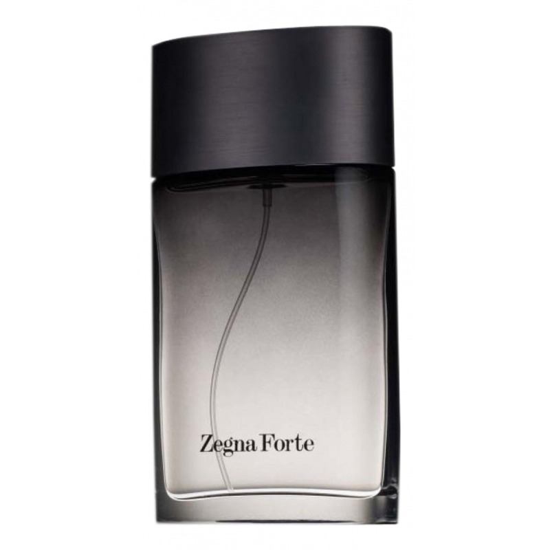 Ermenegildo Zegna Zegna Forte, миниатюра 2