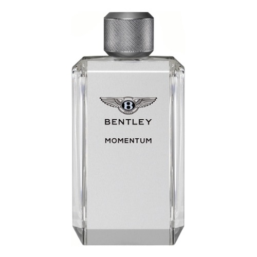 Bentley Momentum, миниатюра 2