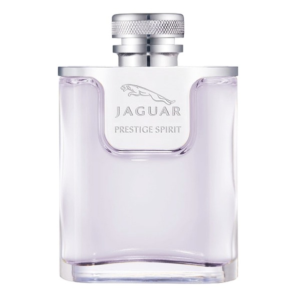 Jaguar Prestige Spirit, миниатюра 2