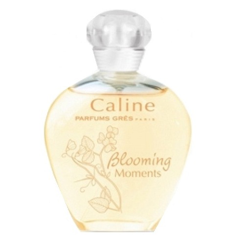 Gres Caline Blooming Moments, миниатюра 2