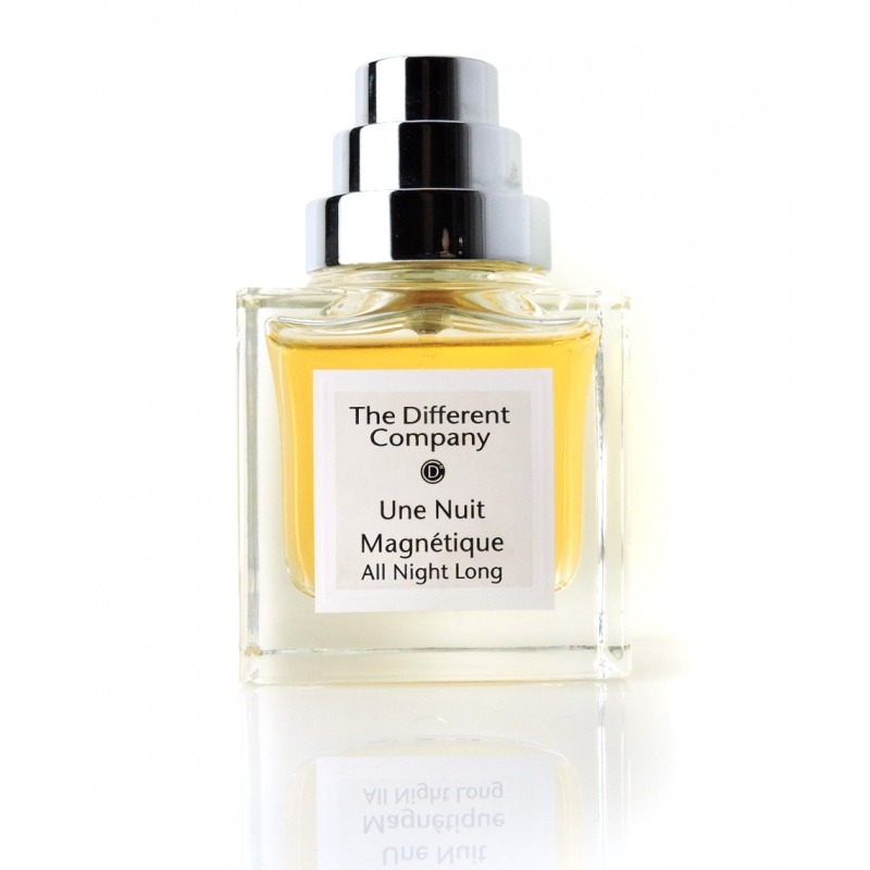 The Different Company Une Nuit Magnetique - All Night Long, миниатюра 2