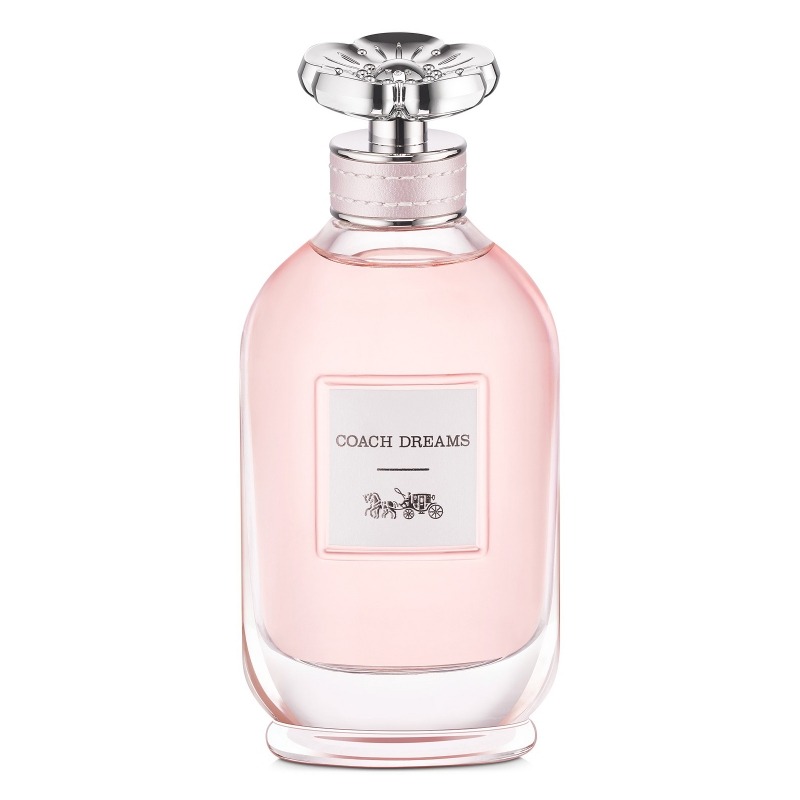 Coach Dreams, миниатюра 2