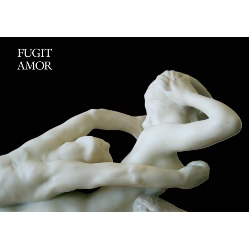 Jul et Mad Fugit Amor, миниатюра 3