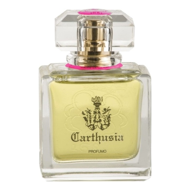 Carthusia Tuberosa, миниатюра 2