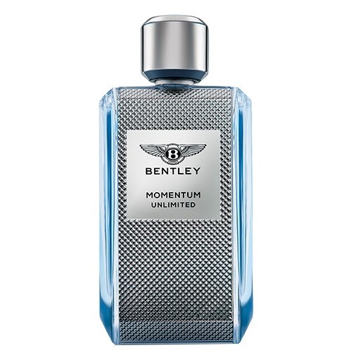 Bentley Momentum Unlimited, миниатюра 2