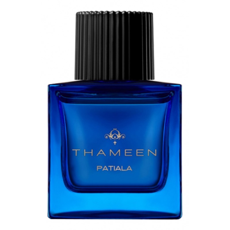 Thameen Patiala, миниатюра 2