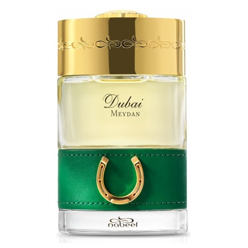 The Spirit of Dubai Meydan, миниатюра 2