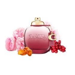 Coach Wild Rose, миниатюра 3