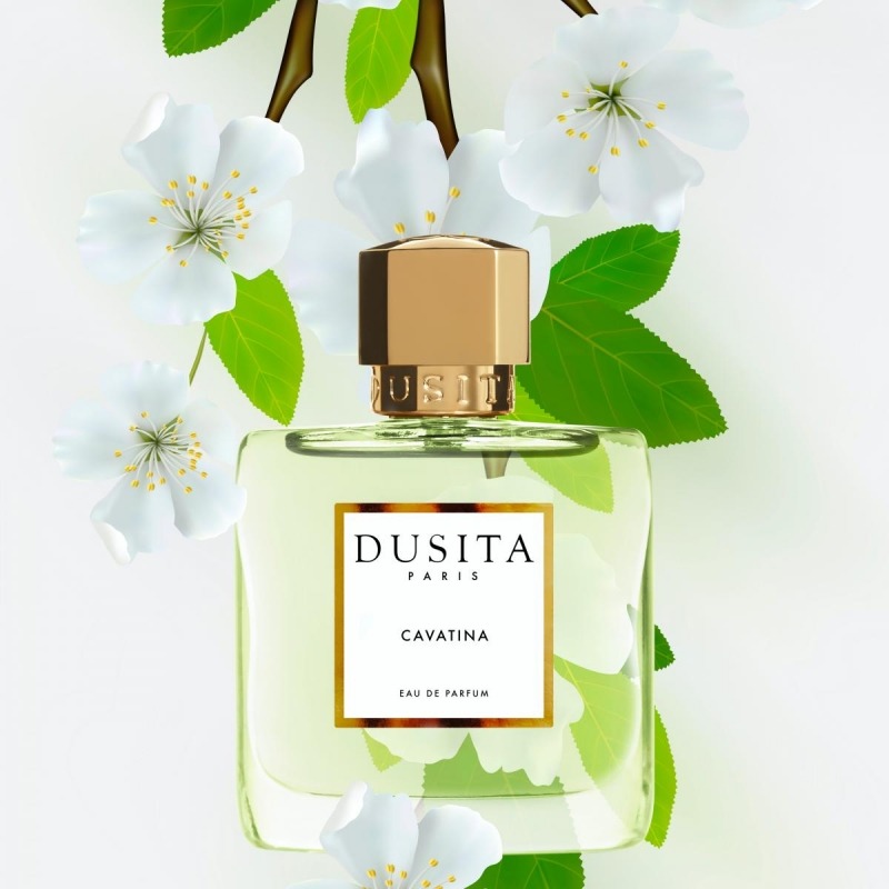 Dusita Cavatina, миниатюра 2
