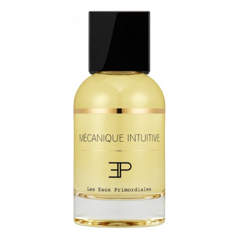 Les Eaux Primordiales Mecanique Intuitive, миниатюра 2