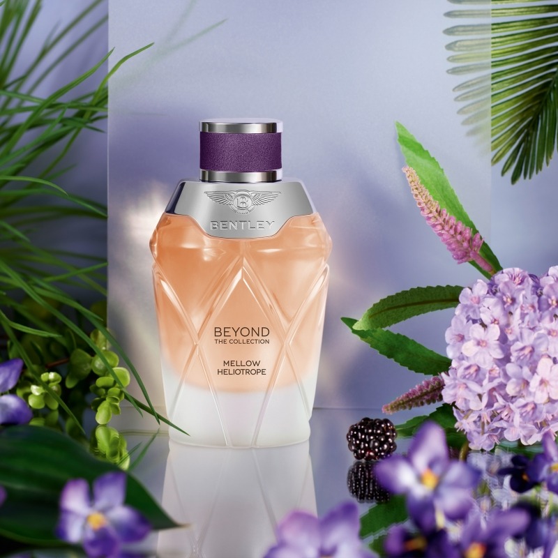 Bentley Mellow Heliotrope, миниатюра 3