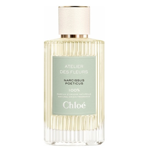 Chloe Narcissus Poeticus, миниатюра 2
