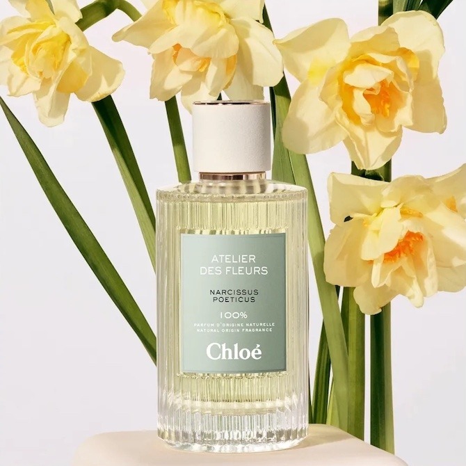 Chloe Narcissus Poeticus, миниатюра 3