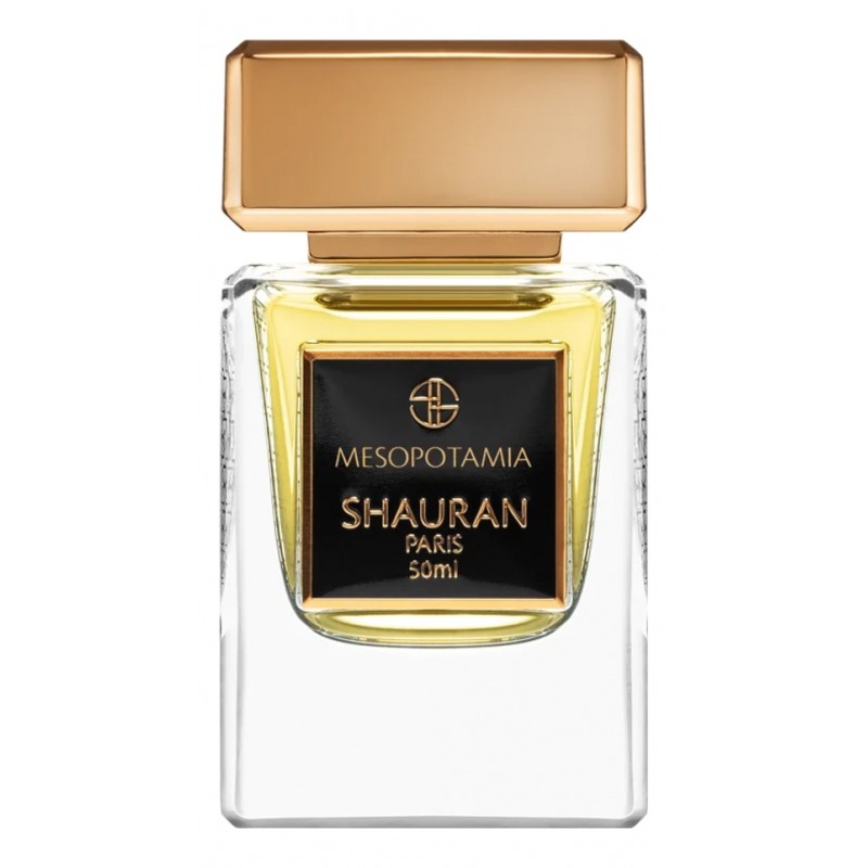 Shauran Mesopotamia, миниатюра 2