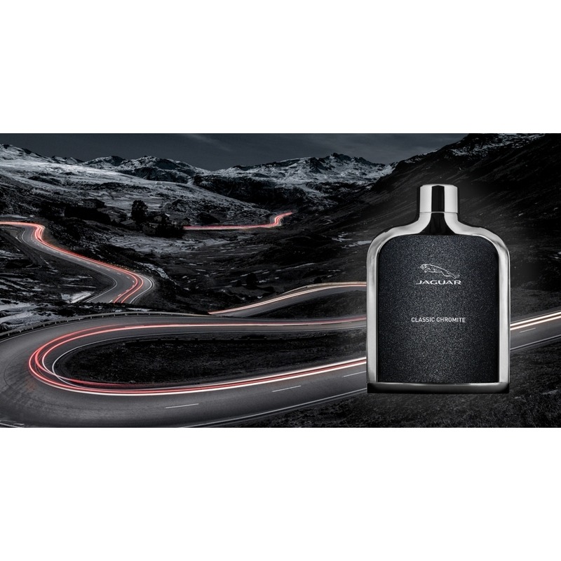 Jaguar Classic Chromite, миниатюра 3