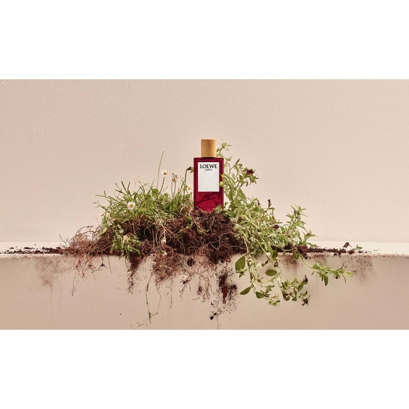 Loewe Earth, миниатюра 3