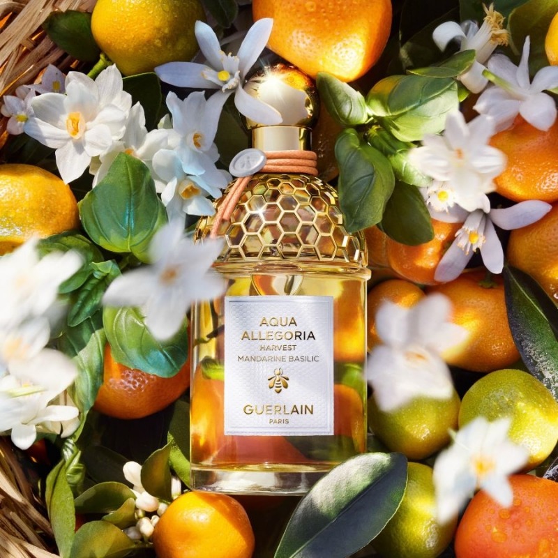 Guerlain Aqua Allegoria Mandarine Basilic Harvest, миниатюра 3