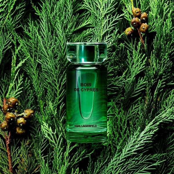 Karl Lagerfeld Bois De Cypres, миниатюра 3