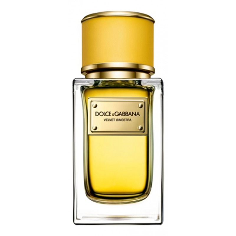 DOLCE & GABBANA Velvet Ginestra, миниатюра 2
