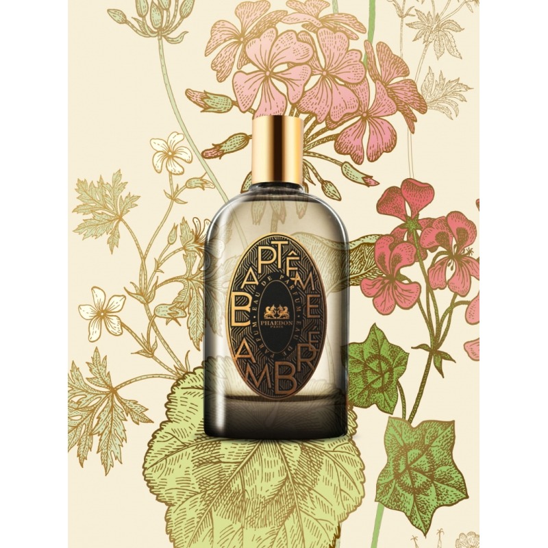 Phaedon Bapteme Ambre, миниатюра 2