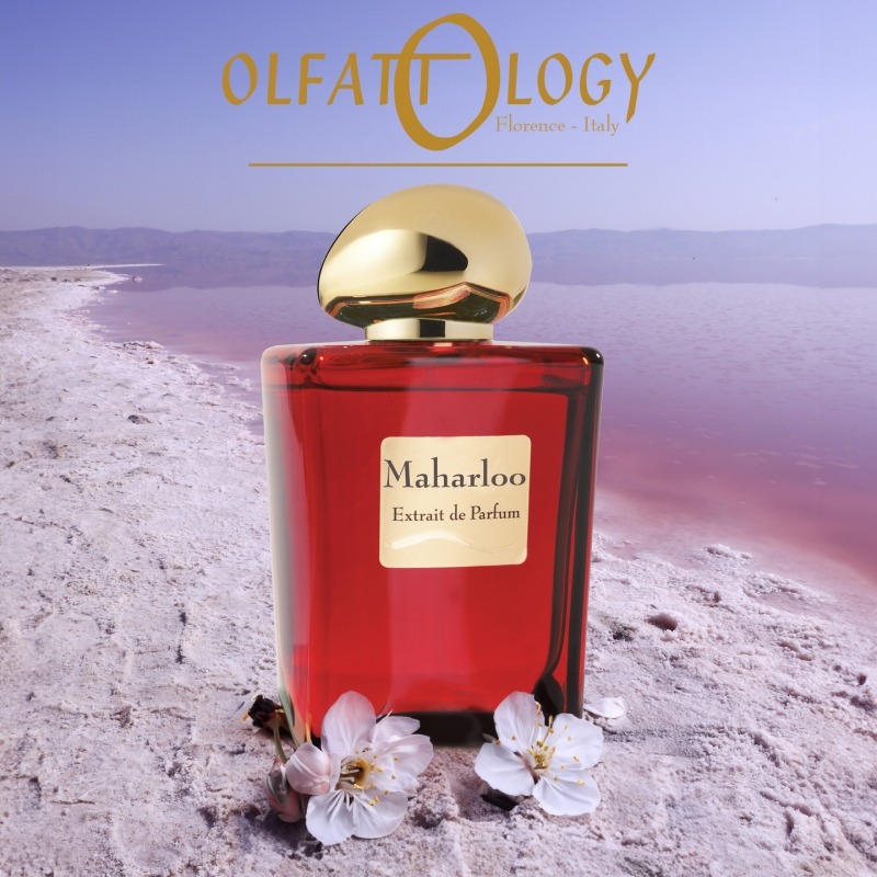Olfattology Maharloo, миниатюра 3