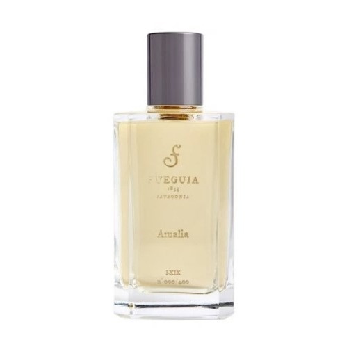 Fueguia 1833 Amalia, миниатюра 2