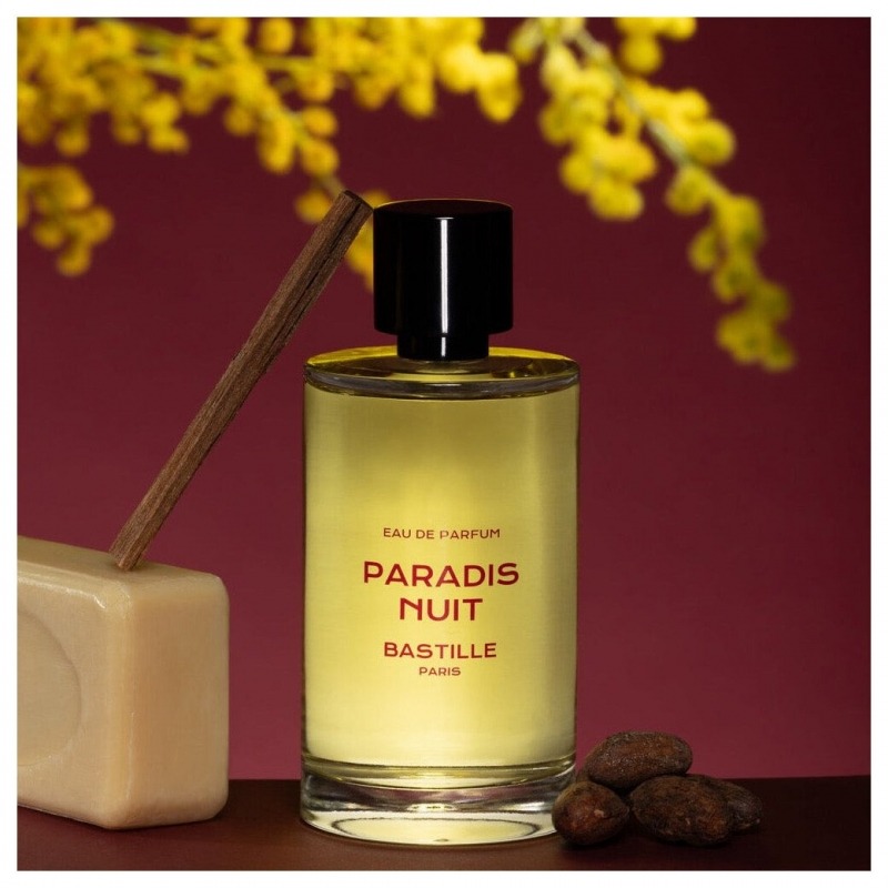 Bastille Paradis Nuit, миниатюра 3