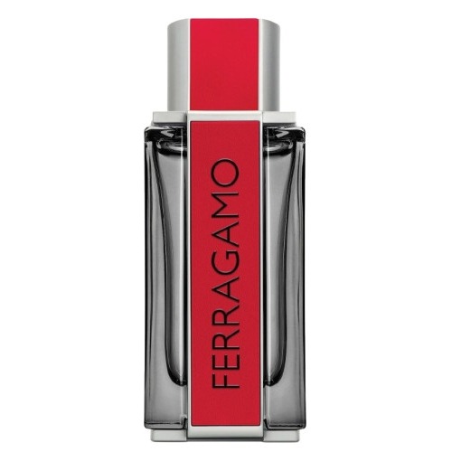 Salvatore Ferragamo Ferragamo Red Leather, миниатюра 2