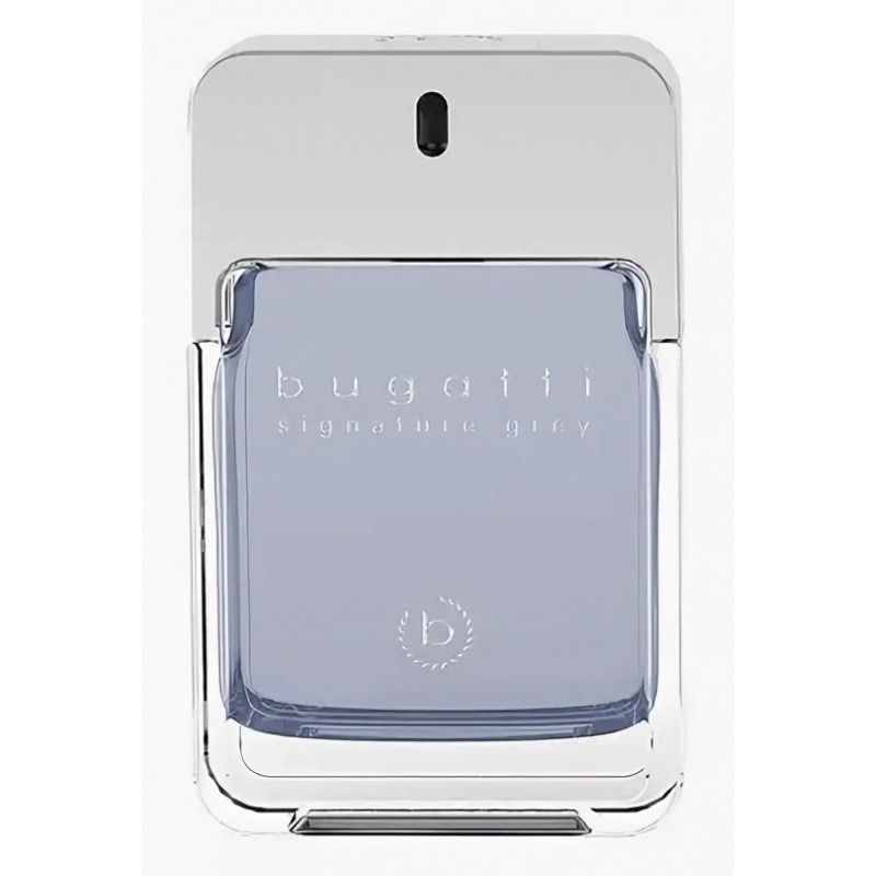 Bugatti Signature Grey, миниатюра 2