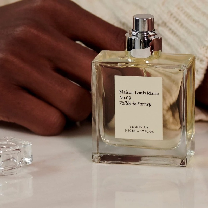 Maison Louis Marie No.09 Vallée de Farney, миниатюра 3