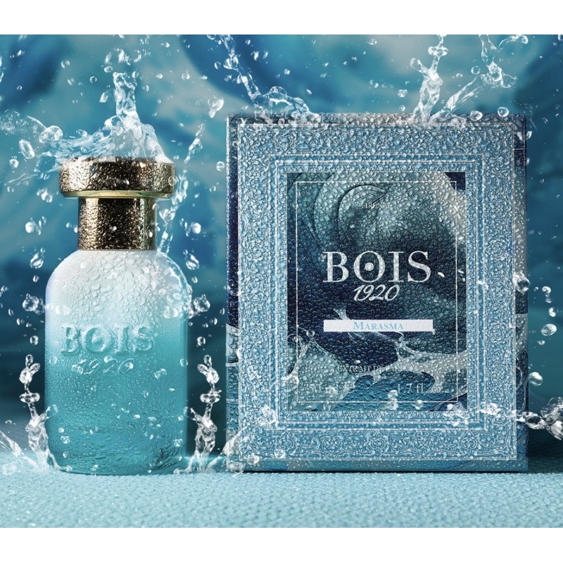 Bois 1920 Marasma, миниатюра 3