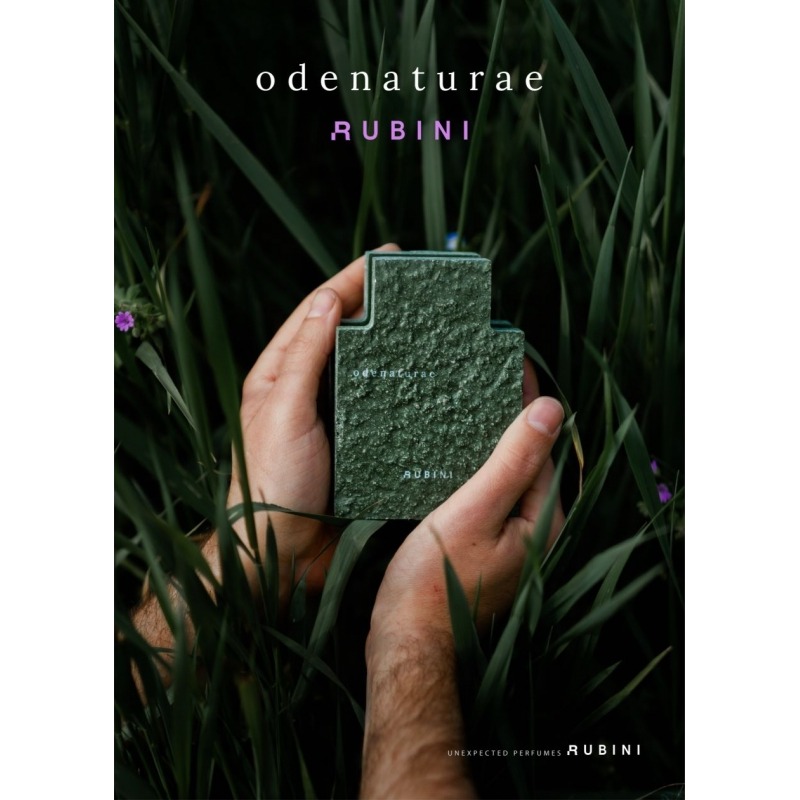 Rubini Odenaturae, миниатюра 3
