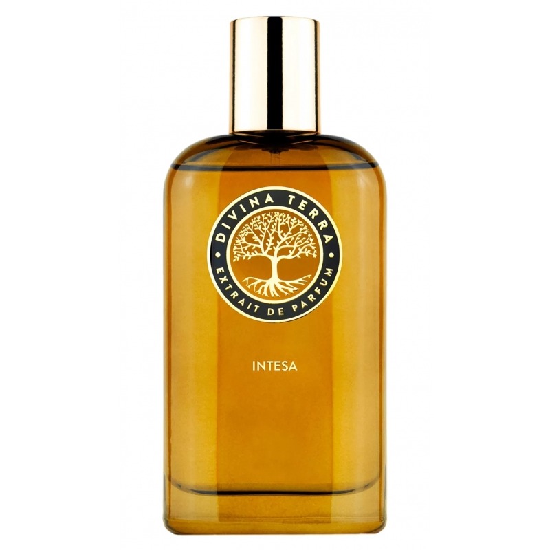 DiVina Terra 07 Intesa, миниатюра 2