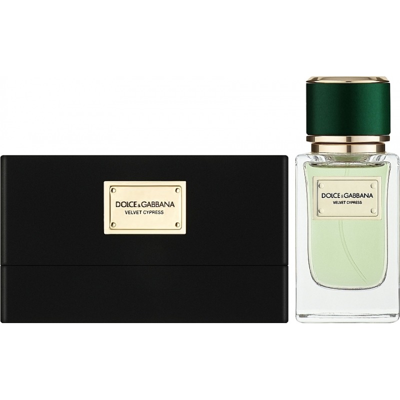 DOLCE & GABBANA Velvet Cypress