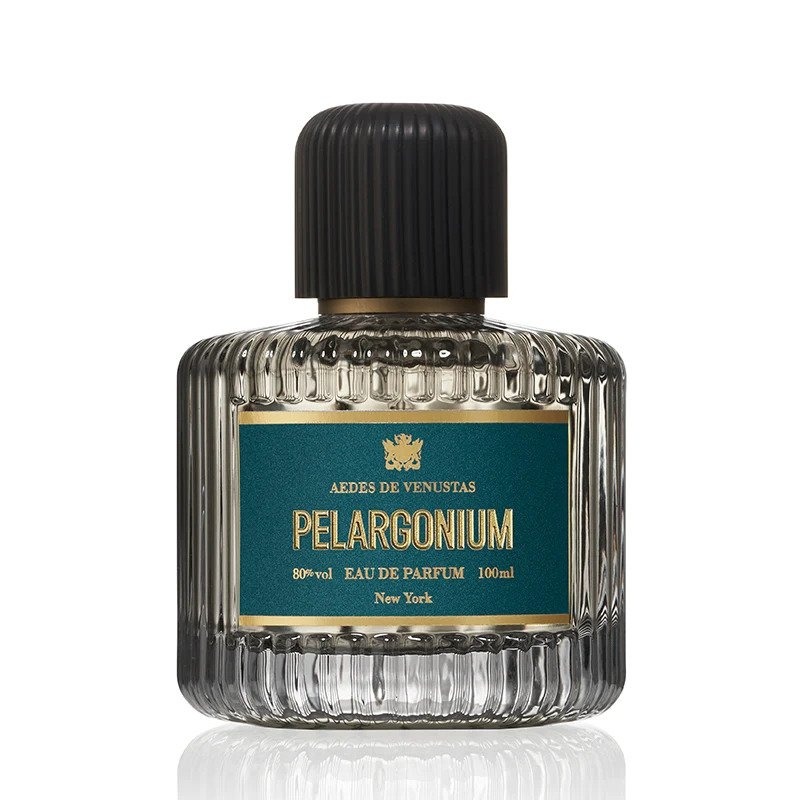 Aedes de Venustas Pelargonium
