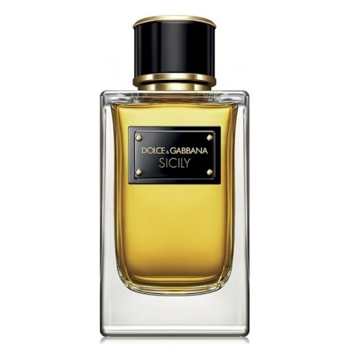 DOLCE & GABBANA Velvet Sicily