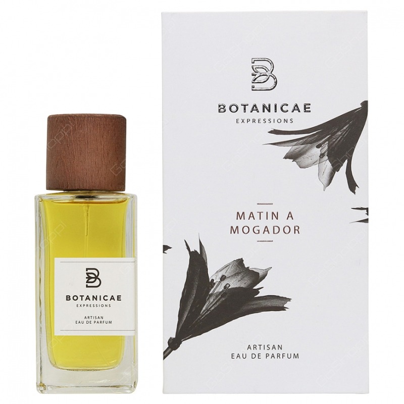 Botanicae Matin a Mogador