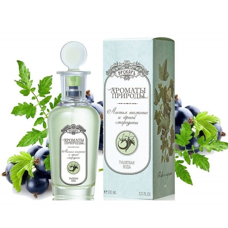 Brocard Листья томата и черной смородины