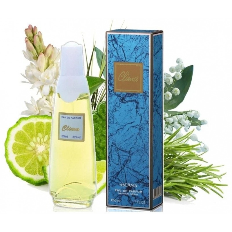 Brocard Ascania Clima